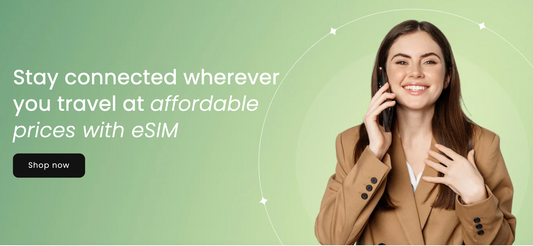 Everything you need to know about Flexsim's eSIM