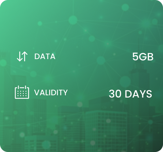 Europe eSIM Plan 30 Days 5 GB | FlexSim